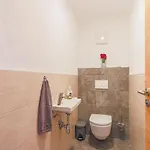 Krammer Kleinvenediger 아파트 *